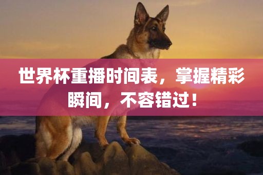 世界杯重播时间表，掌握精彩瞬间，不容错过！