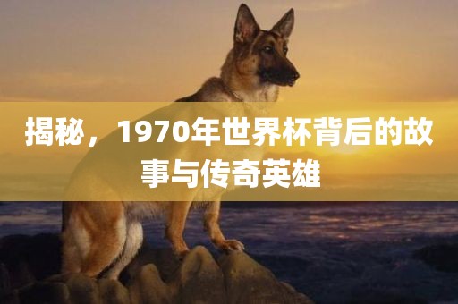揭秘，1970年世界杯背后的故事与传奇英雄