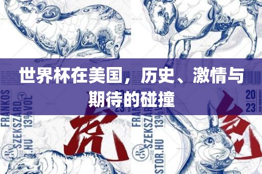 世界杯在美国，历史、激情与期待的碰撞