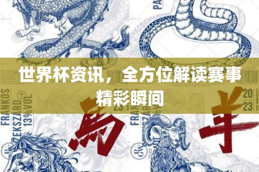 世界杯资讯，全方位解读赛事精彩瞬间