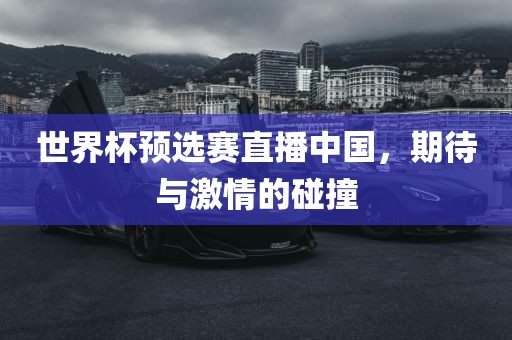 世界杯预选赛直播中国，期待与激情的碰撞