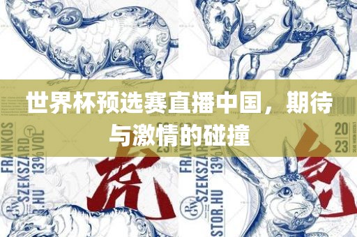 世界杯预选赛直播中国，期待与激情的碰撞
