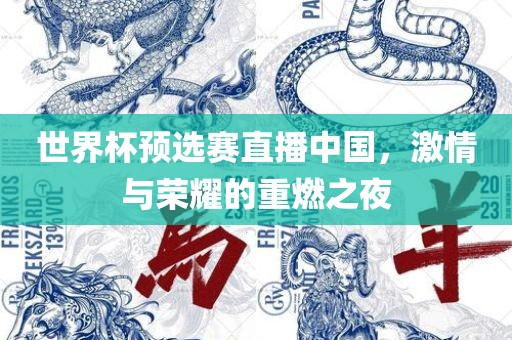 世界杯预选赛直播中国，激情与荣耀的重燃之夜