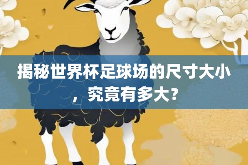 揭秘世界杯足球场的尺寸大小，究竟有多大？