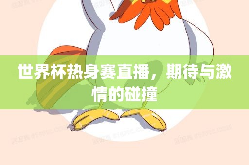 世界杯热身赛直播，期待与激情的碰撞