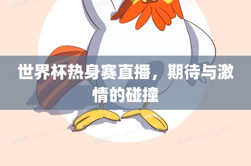 世界杯热身赛直播，期待与激情的碰撞