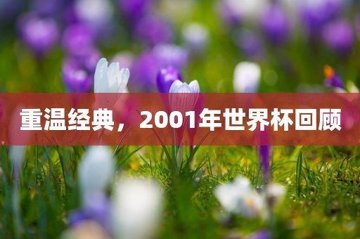重温经典，2001年世界杯回顾