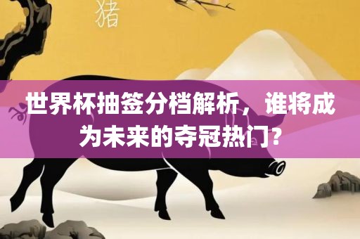 世界杯抽签分档解析，谁将成为未来的夺冠热门？