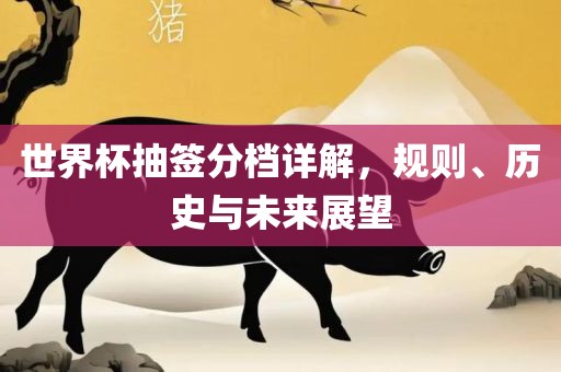 世界杯抽签分档详解，规则、历史与未来展望漯河市盈旭机械设备有限公司