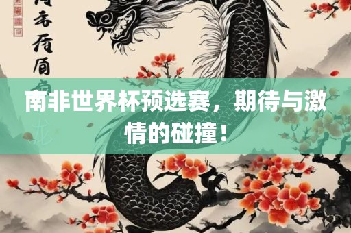 南非世界杯预选赛，期待与激情的碰撞！