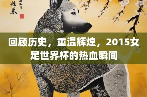 回顾历史，重温辉煌，2015女足世界杯的热血瞬间