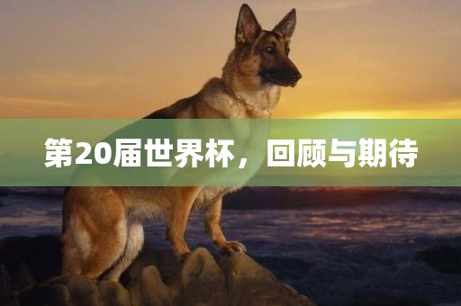 第20届世界杯，回顾与期待