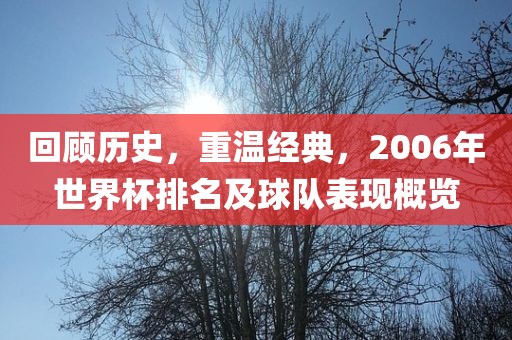 回顾历史，重温经典，2006年世界杯排名及球队表现概览