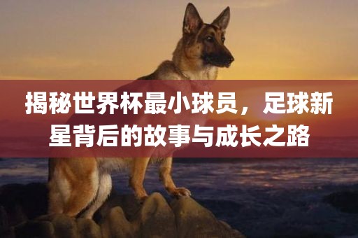 揭秘世界杯最小球员，足球新星背后的故事与成长之路