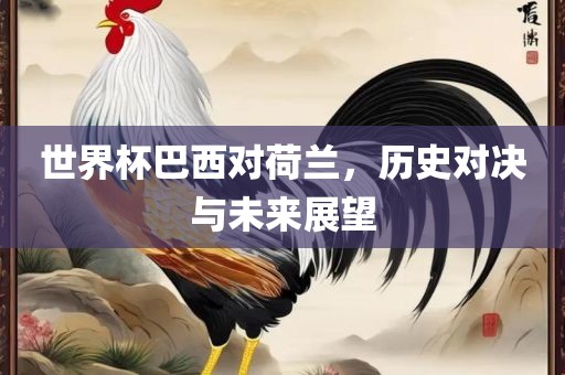 世界杯巴西对荷兰，历史对决与未来展望