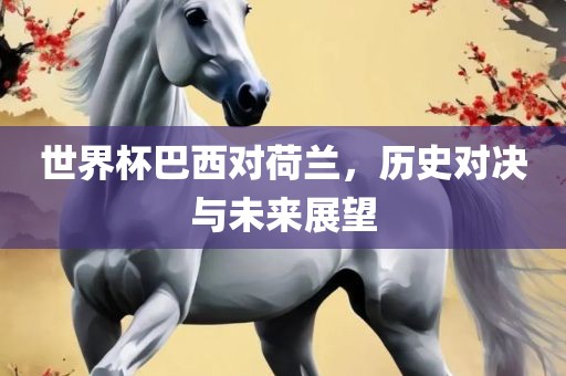 世界杯巴西对荷兰，历史对决与未来展望