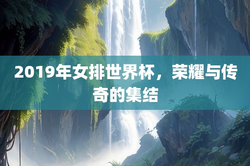 2019年女排世界杯，荣耀与传奇的集结