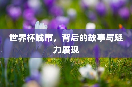世界杯城市，背后的故事与魅力展现