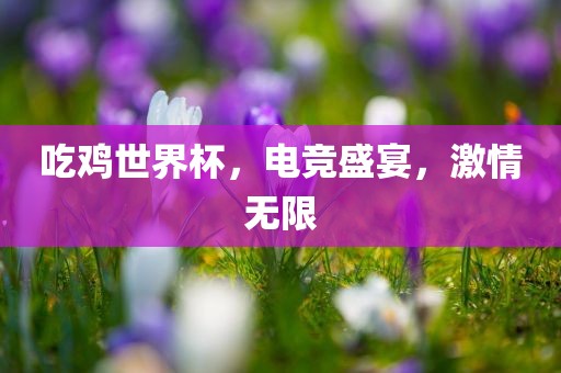 吃鸡世界杯，电竞盛宴，激情无限