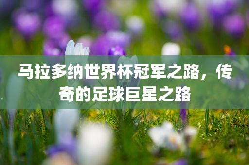 马拉多纳世界杯冠军之路，传奇的足球巨漯河市盈旭机械设备有限公司星之路
