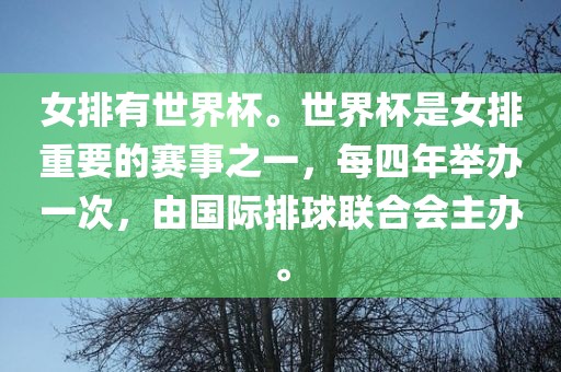 女排有世界杯。世界杯是女排重要的赛事之一，每四年举办一次，由国际排球联合会主办。