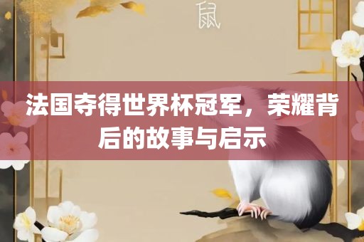法国夺得世界杯冠军，荣耀背后的故事与启示