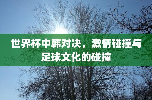 世界杯中韩对决，激情碰撞与足球文化的碰撞