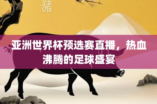 亚洲世界杯预选赛直播，热血沸腾的足球盛宴