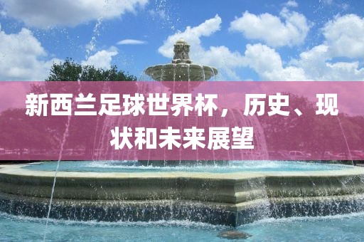 新西兰足球世界杯，历史、现状和未来展望