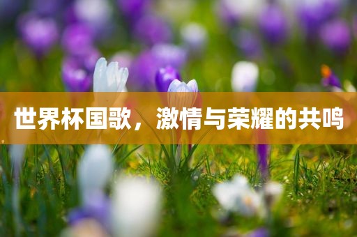 世界杯国歌，激情与荣耀的共鸣
