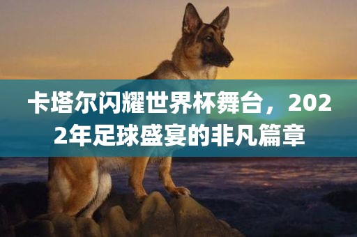 卡塔尔闪耀世界杯舞台，2022年足球盛宴的非凡篇章