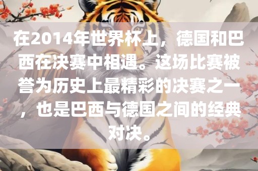 在2014年世界杯上，德国和巴西在决赛中相遇。这场比赛被誉为历史上最精彩的决赛之一，也是巴西与德国之间的经典对决。漯河市盈旭机械设备有限公司