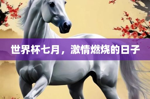 世界杯七月，激情燃烧的日子