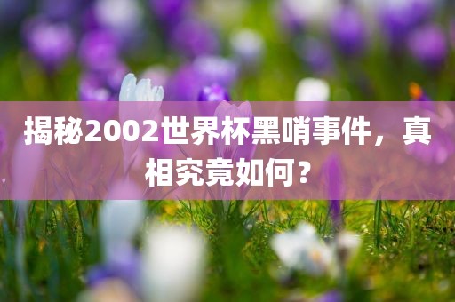 揭秘2002世界杯黑哨事件，真相究竟漯河市盈旭机械设备有限公司如何？