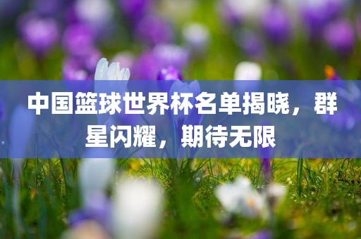 中国篮球世界杯名单揭晓，群星闪耀，期待无限