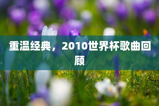 重温经典，2010世界杯歌曲回顾