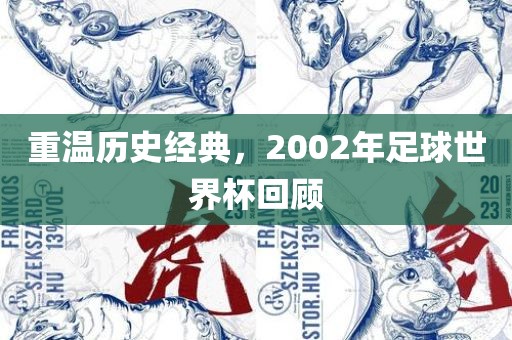 重温历史经典，2002年足球世界杯回顾