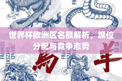 世界杯欧洲区名额解析，席位分配与竞争态势
