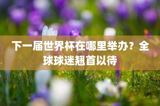 下一届世界杯在哪里举办？全球球迷翘首以待