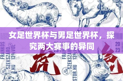 女足世界杯与男足世界杯，探究两大赛事的异同