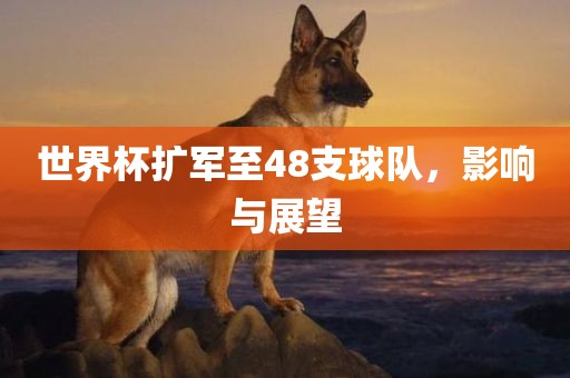 世界杯扩军至48支球队，影响与展望