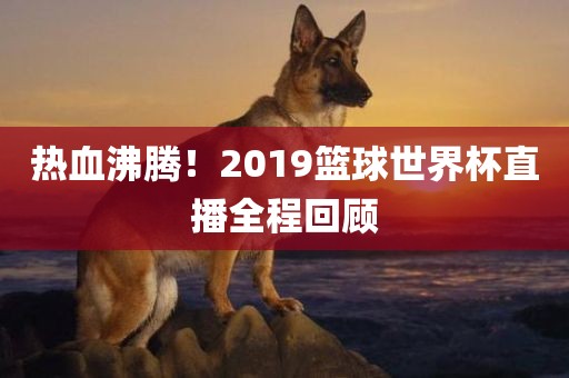 热血沸腾！2019篮球世界杯直播全程回顾