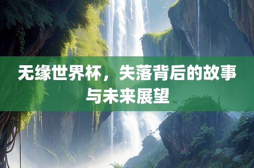 无缘世界杯，失落背后的故事与未来展望