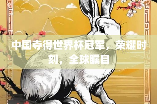 中国夺得世界杯冠军，荣耀时刻，全球瞩目漯河市盈旭机械设备有限公司
