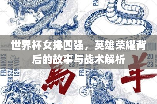 世界杯女排四强，英雄荣耀背后的故事与战术解析