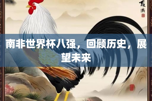 南非世界杯八强，回顾历史，展望未来