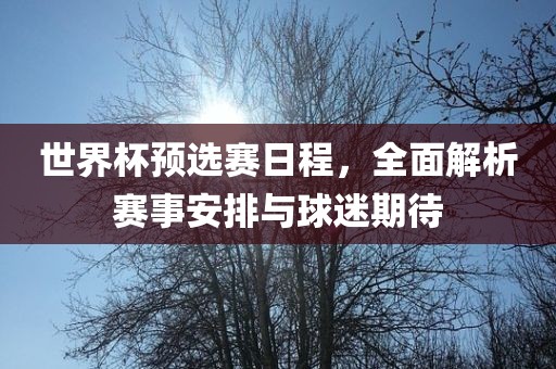 世界杯预选赛日程，全面解析赛事安排与球迷期待