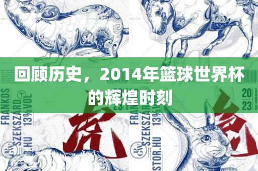 回顾历史，2014年篮球世界杯的辉煌时刻漯河市盈旭机械设备有限公司