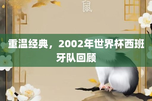 重温经典，2002年世界杯西班牙队回顾