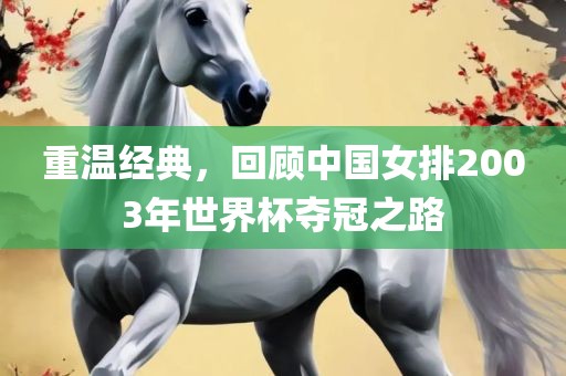 重温经典，回顾中国女排2003年世界杯夺冠之路漯河市盈旭机械设备有限公司